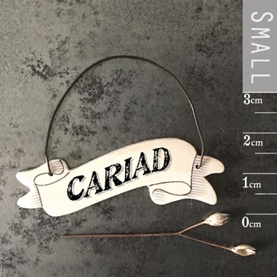 Cariad ribbon tag