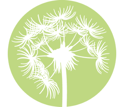 Why our charity logo is a dandelion