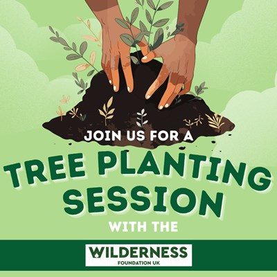 Tree planting in collaboration with the Wilderness Foundation