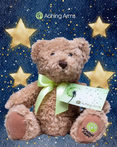 Donate a Bear for Christmas 2025