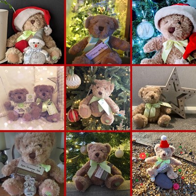 A grid of Aching Arms comfort bears at Christmas time