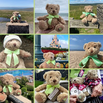 Donate a Bear for BLAW & Double Your Dedication on National Teddy Bear Day!
