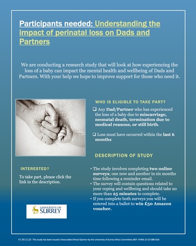 Research Project: Dads and partners mental health following perinatal loss