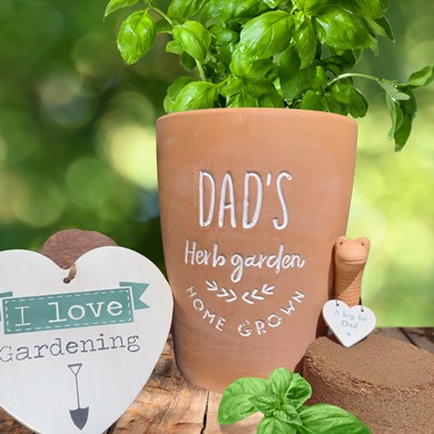 Dad's Herb Garden Gift Set