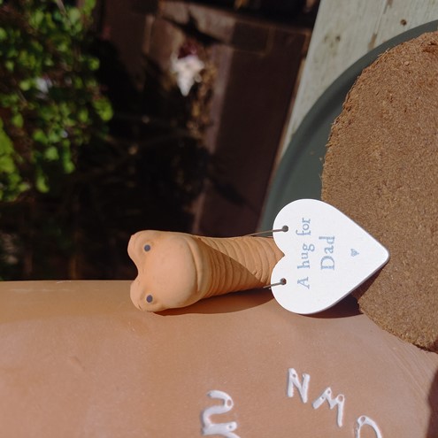 Dad's Herb Garden Gift Set Alternate Image