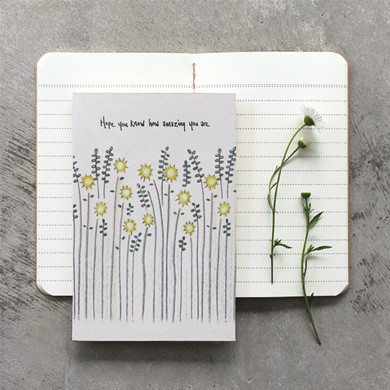 'How Amazing You Are'... Small Notebook
