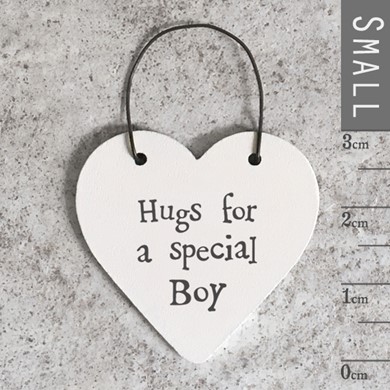 'Hugs For A Special Boy'