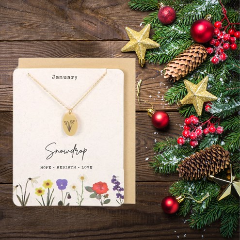 January Snowdrop Birth Necklace Card Main Image