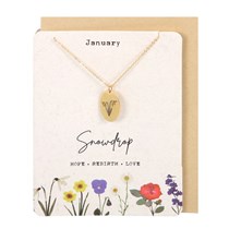 January Snowdrop Birth Necklace Card Main Image