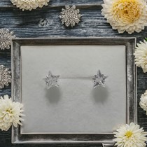 Sterling Silver Star Earrings